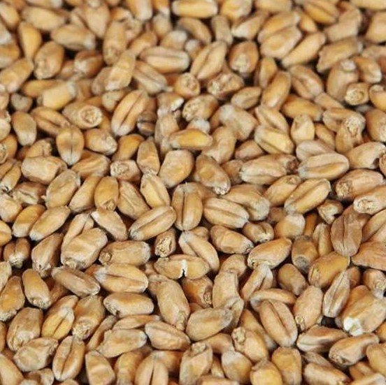 Weyermann® Organic Pale Wheat Malt x 25kg (ACO:Cert. No 12191)