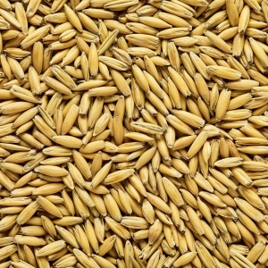 Simpsons Malted Oats x 25kg